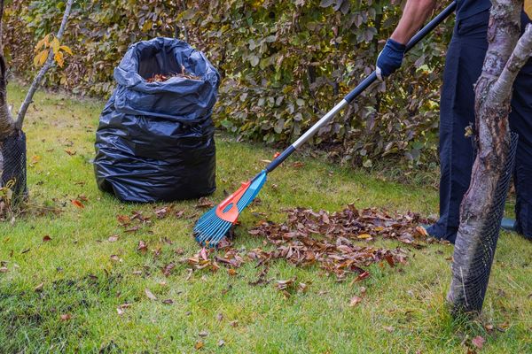 man doing leaf removal in Surfside Beach